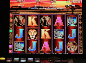 赏金国际vip登录入口2024最新版