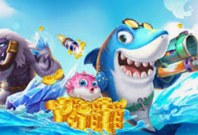 赏金国际vip登录入口免费版